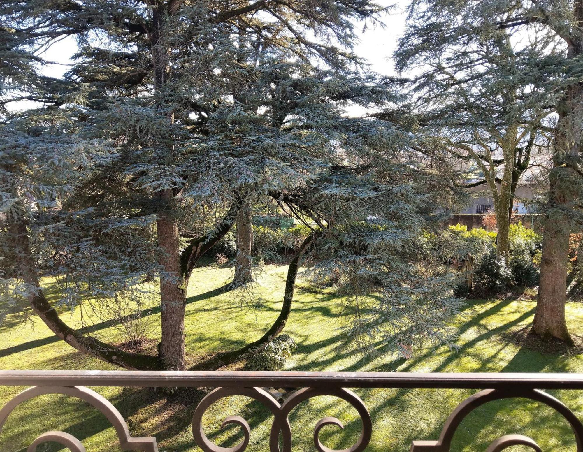 Maison D'Hotes Le Parc Labruguiere Номер фото